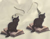  Cat on a Book