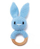 Blue Bunny