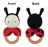  Ladybug