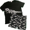 T-Rex Dinosaurs Shorts