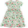 Christmas Frogs Dress