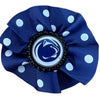  Penn State Logo