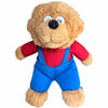  Mini Red/Blue Bear