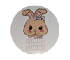 Brown Bunny